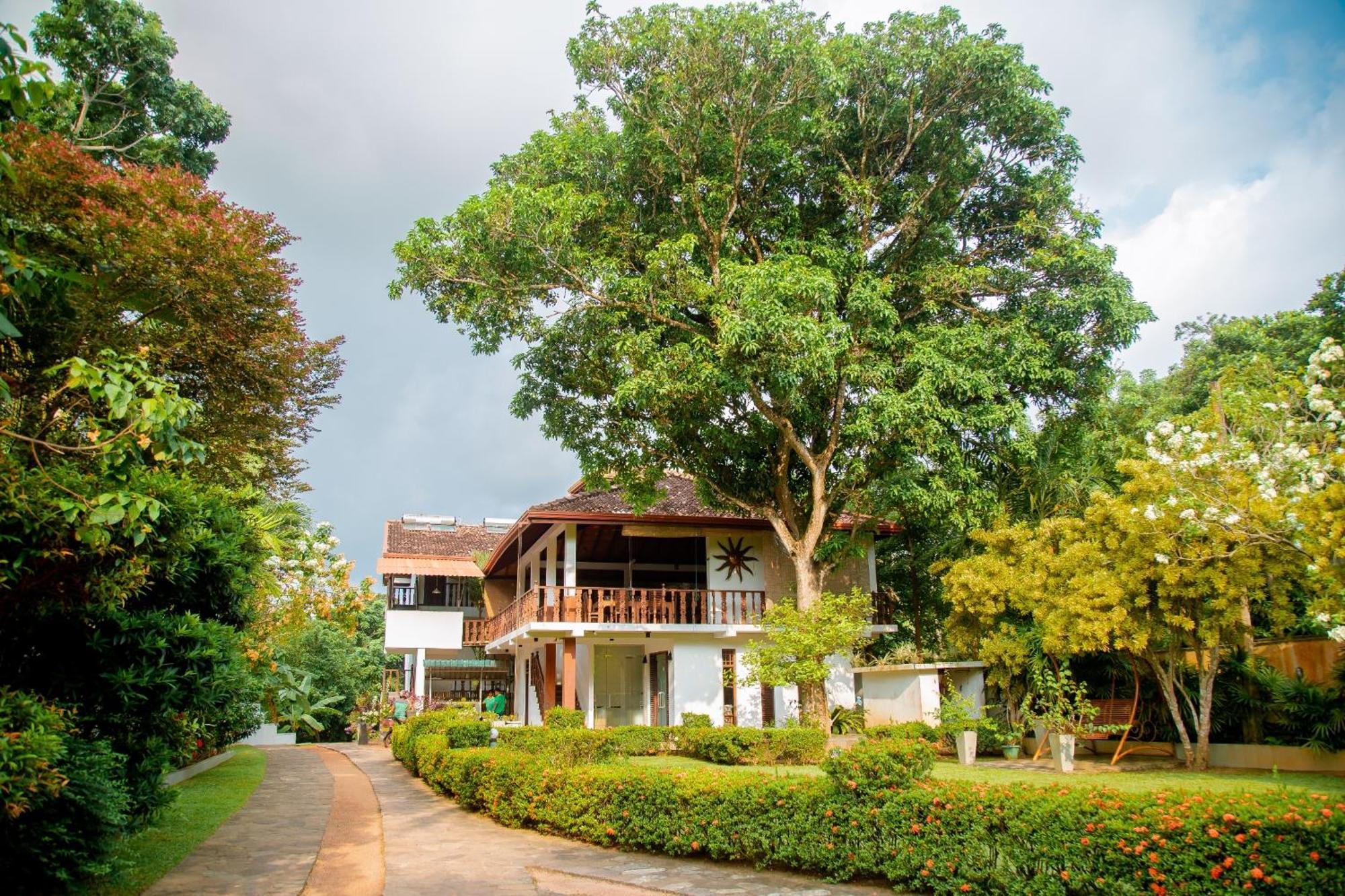 Rockery Villa Ayurveda Bentota Exterior foto